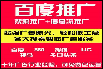 百度广告投放策略与效果评估案例